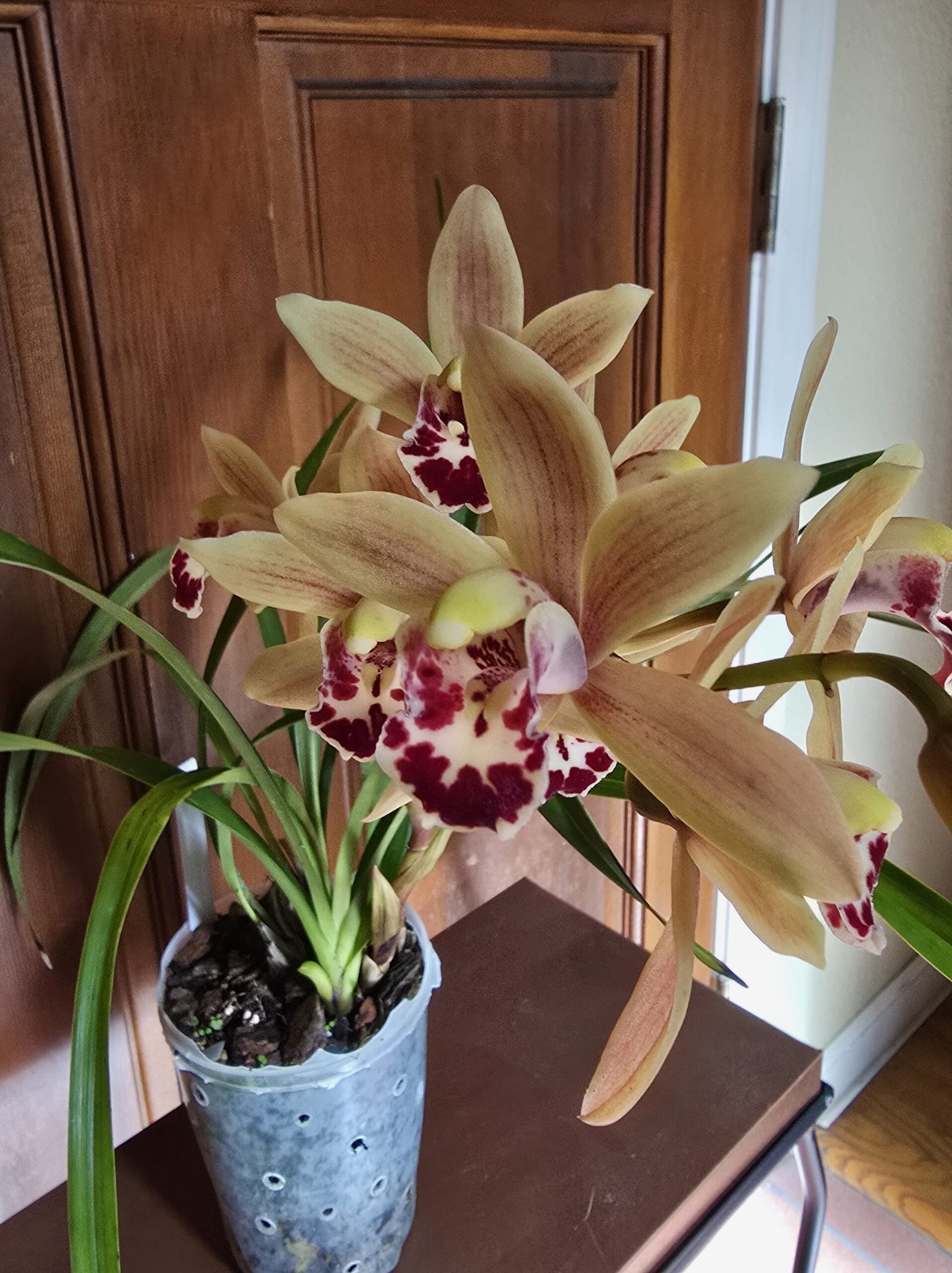 20250125 125253 Min Scaled