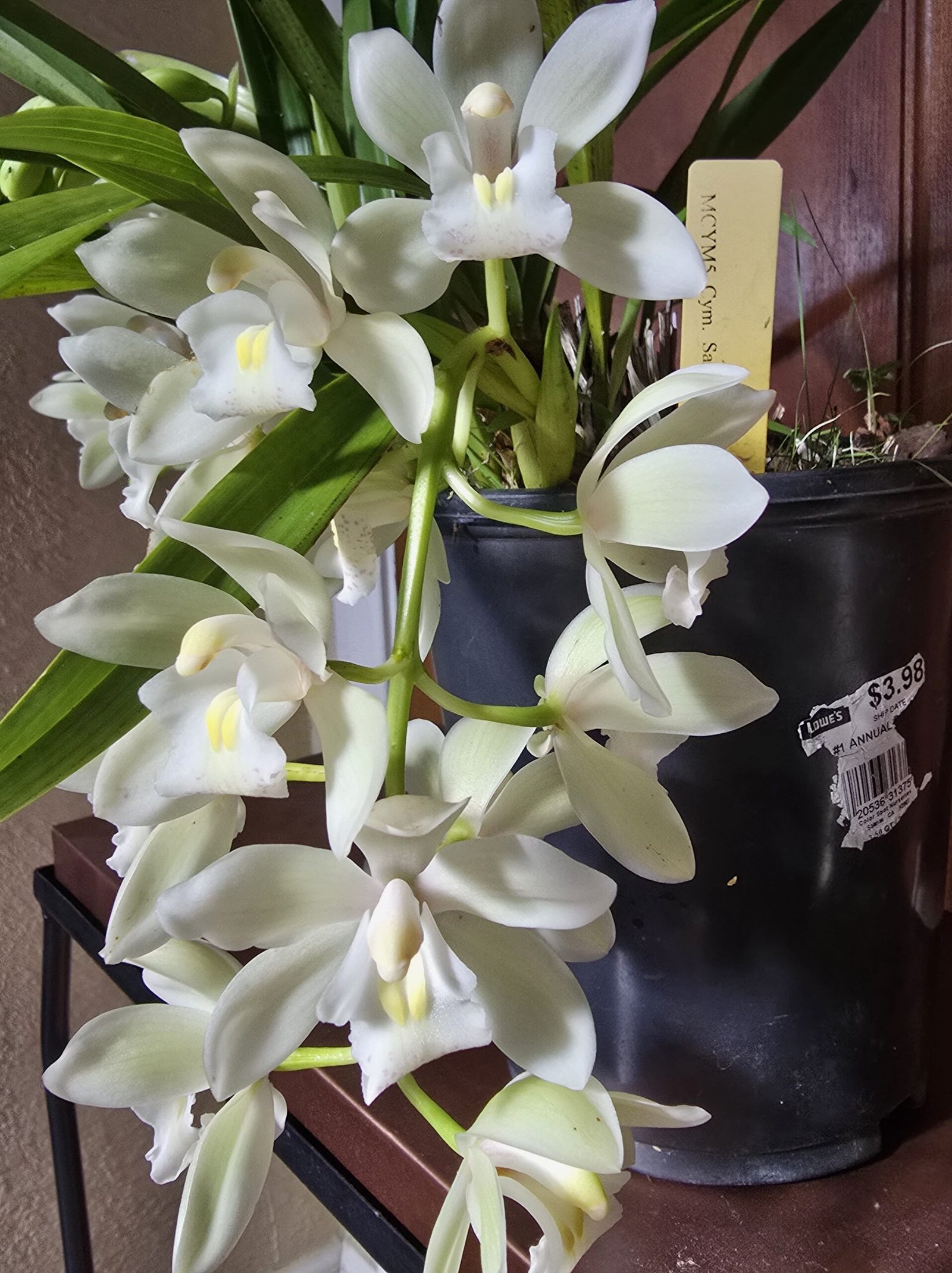 20250125 125549 Min 1 Scaled