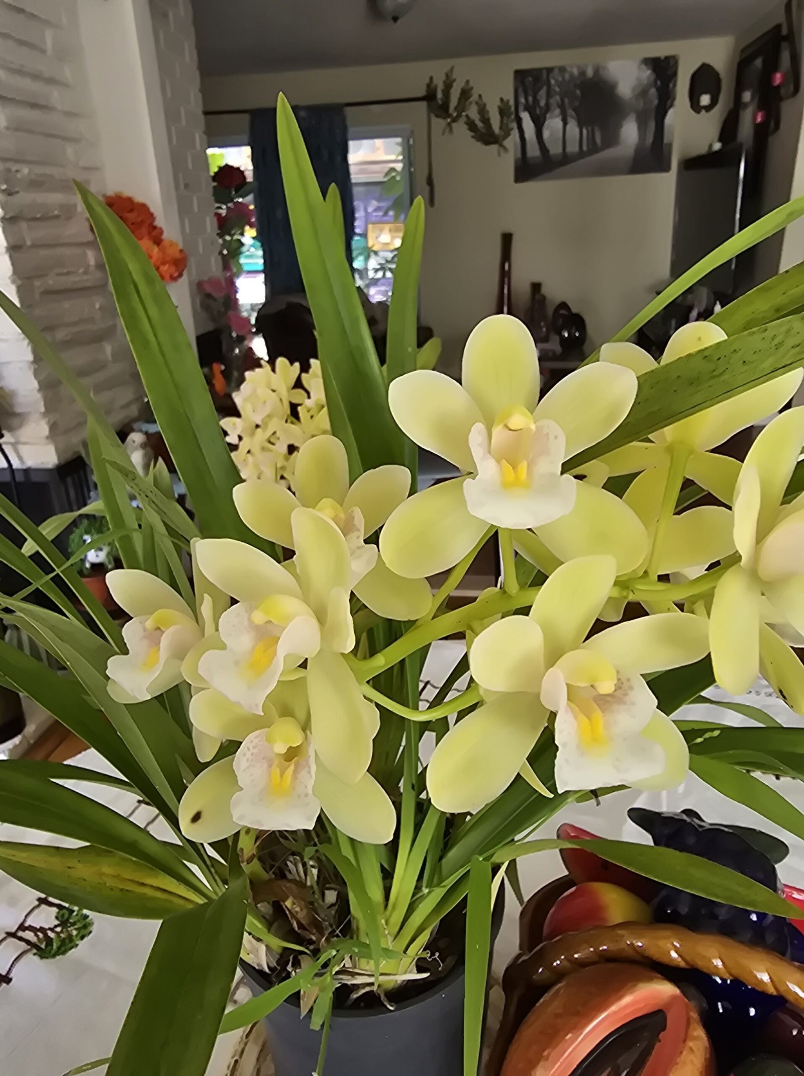 20250308 114614 Min Scaled