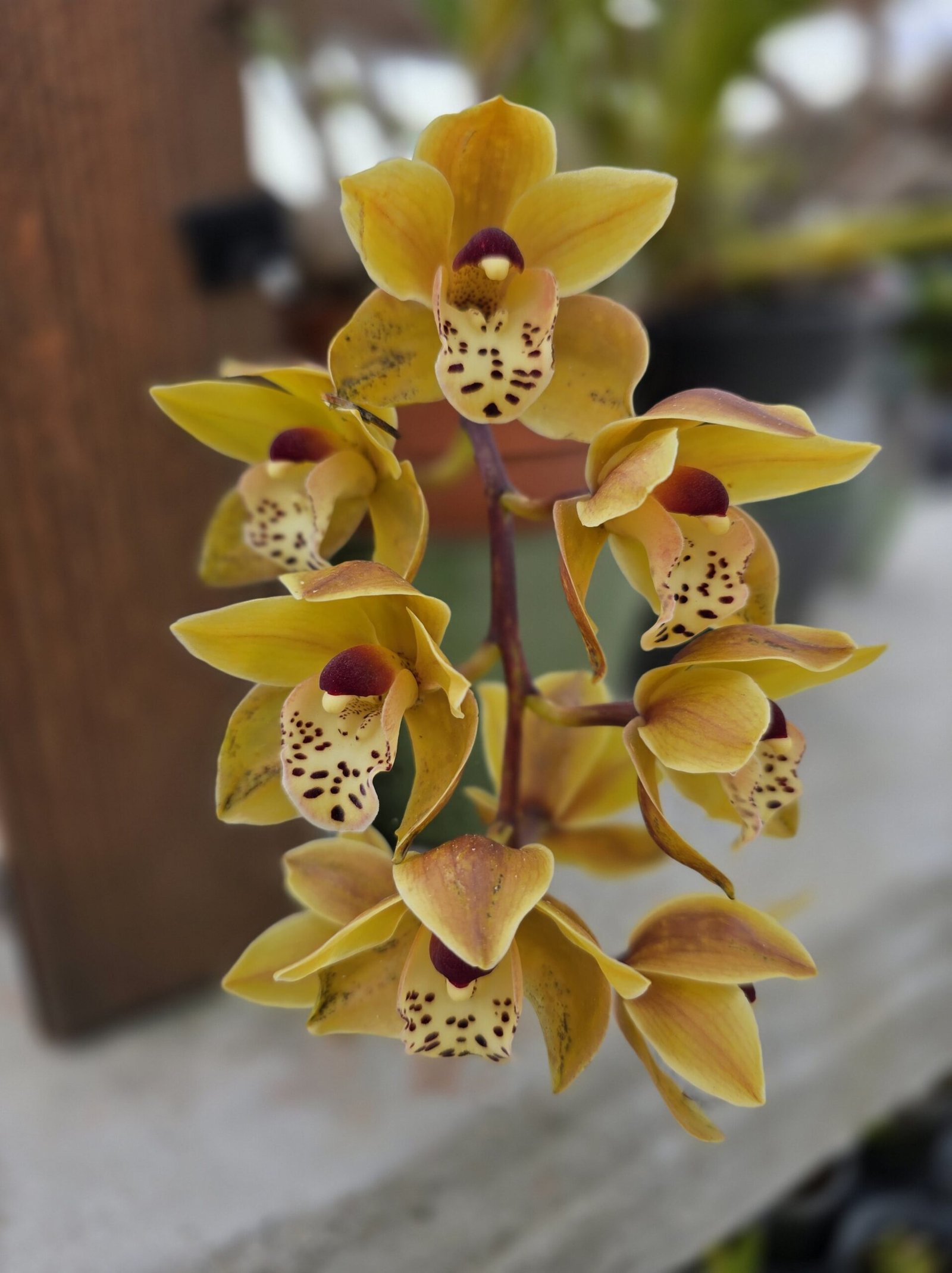 20250427 150731 Min Scaled