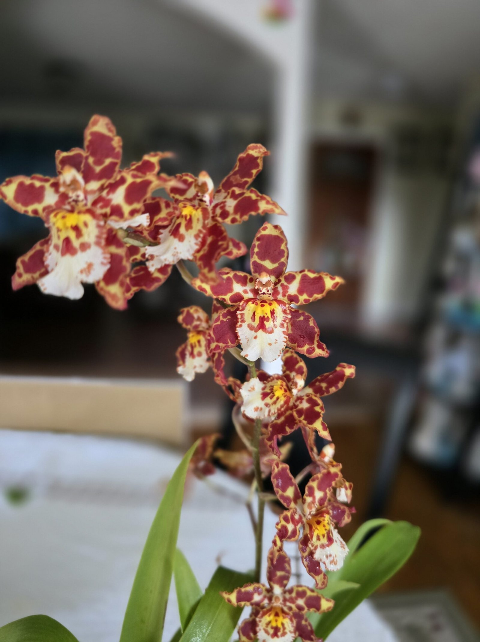 20250503 081216 Min Scaled