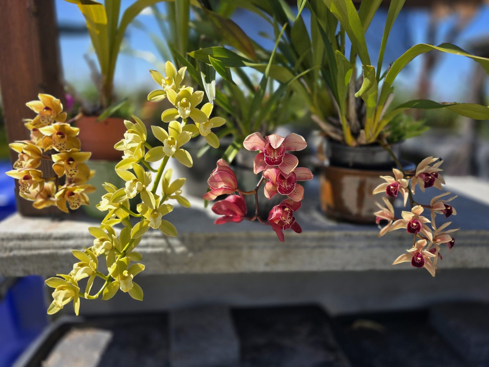 20250514 105232 Min Scaled