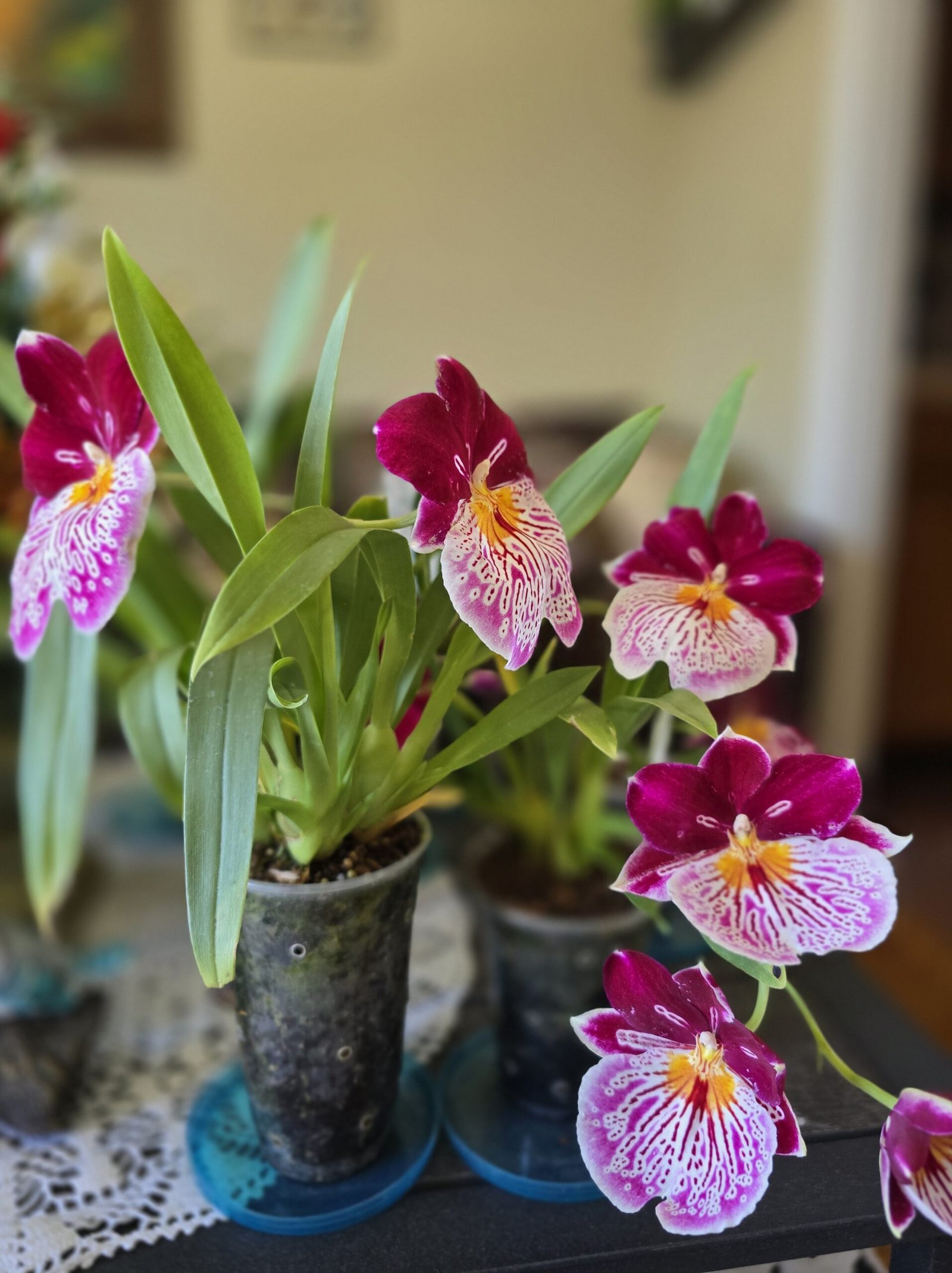 20250727 143408 Min 1 Scaled