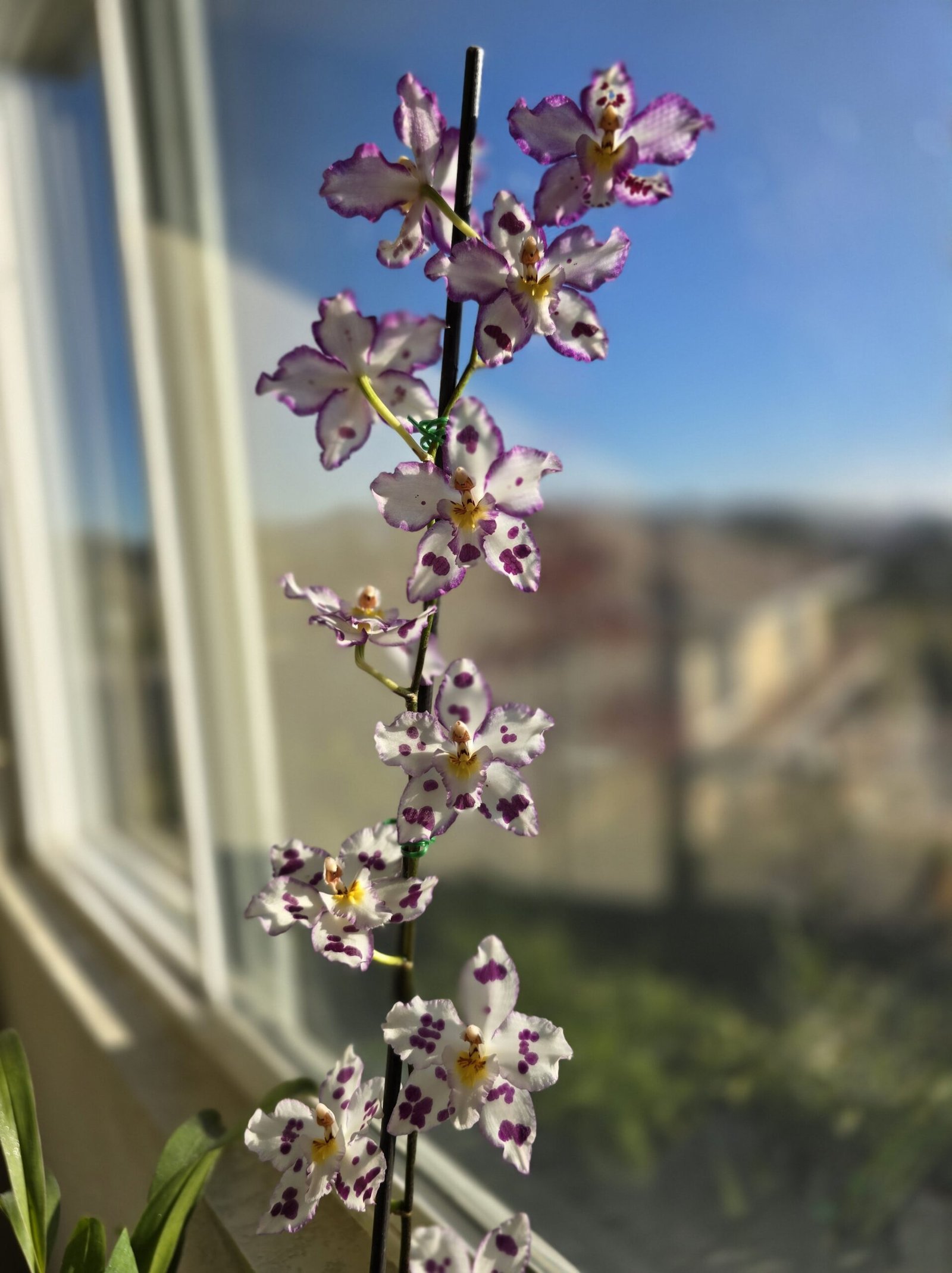 20251211 143415 Min 1 Scaled